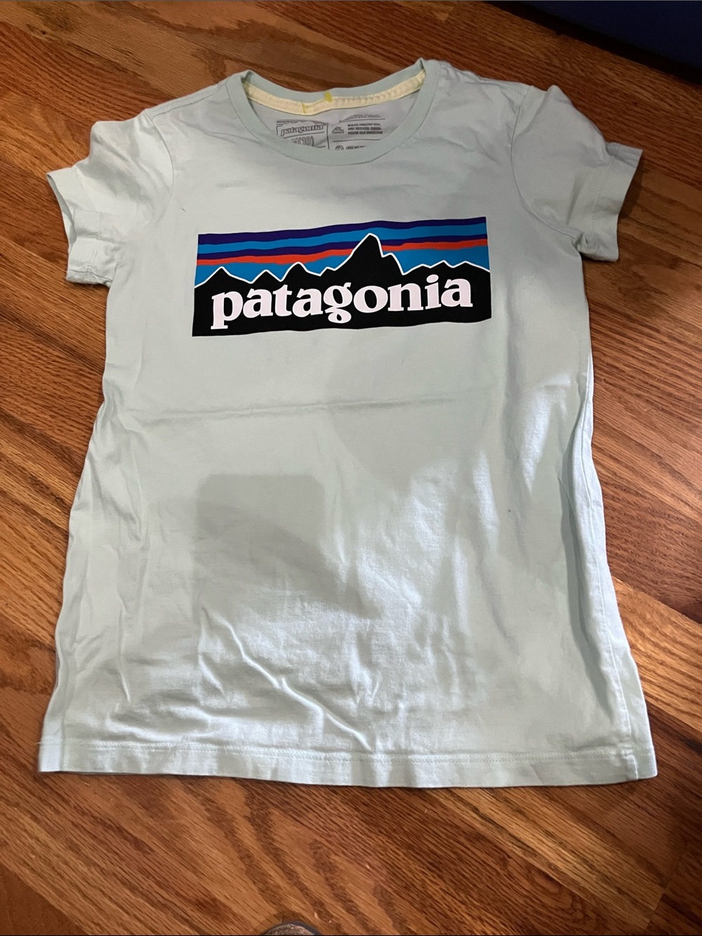Patagonia Light Green Girls Short-Sleeve Logo Tee Sz 10 NWOT